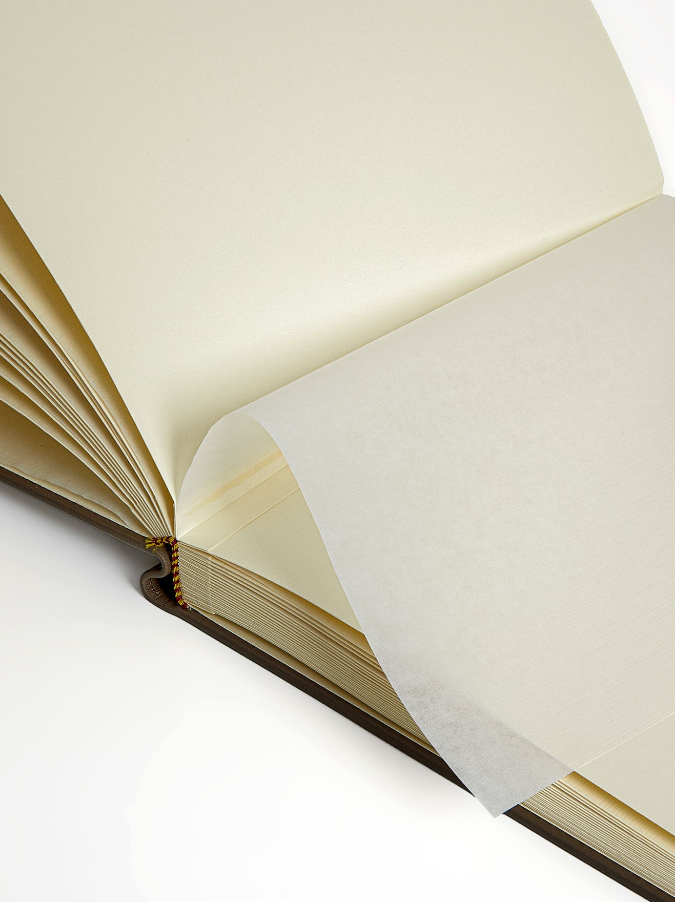 banner feature_image_1